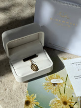 Cargar imagen en el visor de la galería, COLUMPIO BARRA GRANDE VIRGEN OVALADA