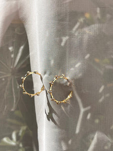 AURELIA HOOPS