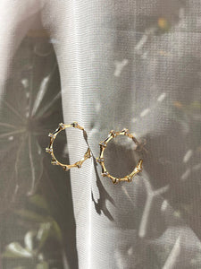 AURELIA HOOPS