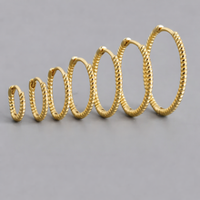 Cargar imagen en el visor de la galería, DOT HOOPS
